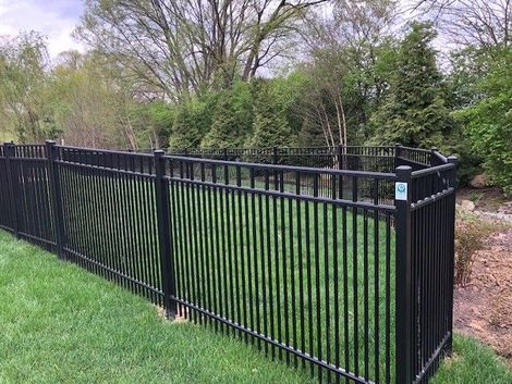 A black fence surrounds a lush green field.