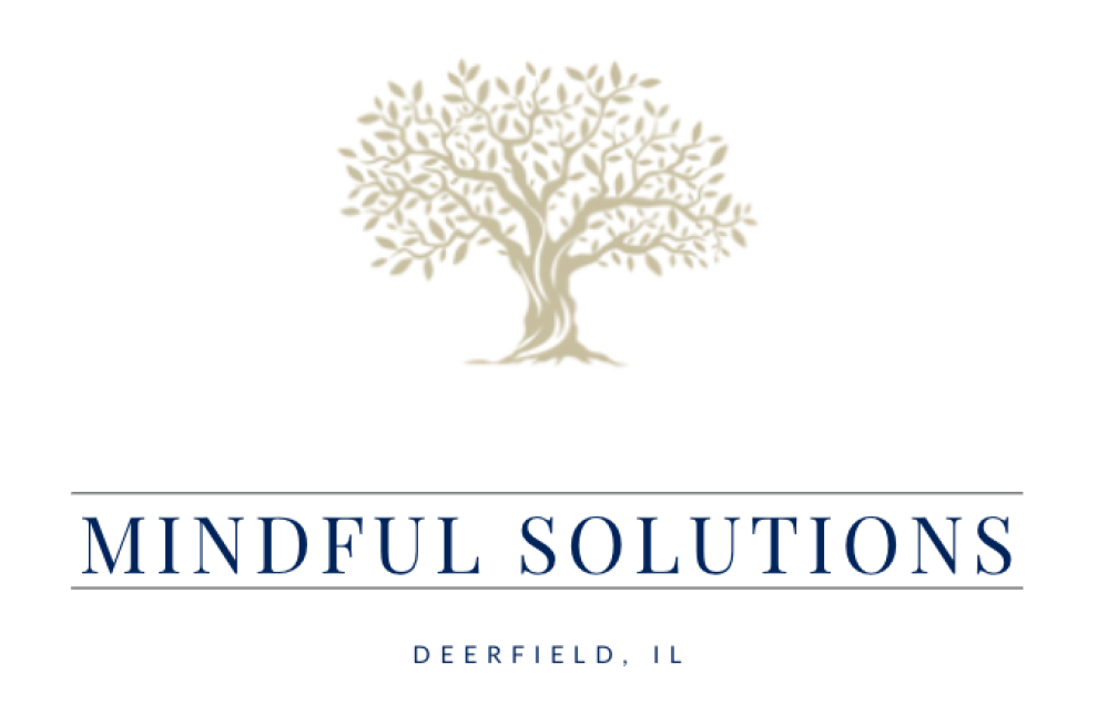Mindful Solutions, LLC