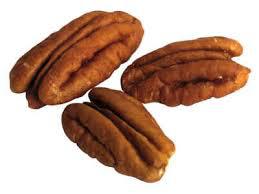 Macadamia nut icon