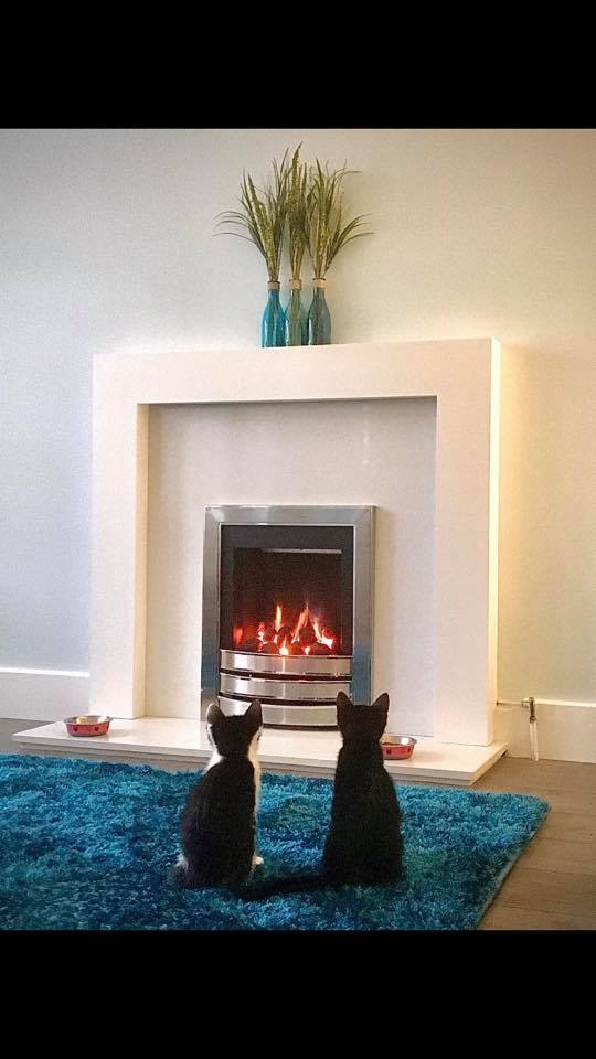 Gas Fire at the Fireplace Isle of Wight