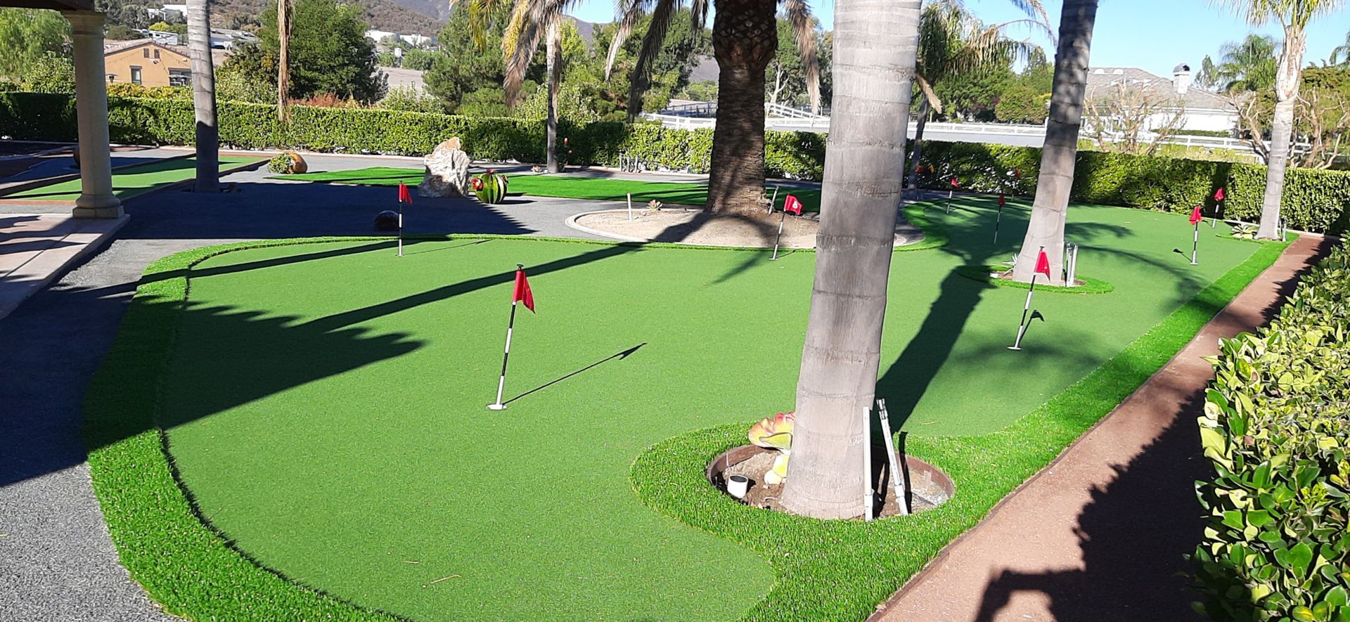 synthetic putting green and palm trees