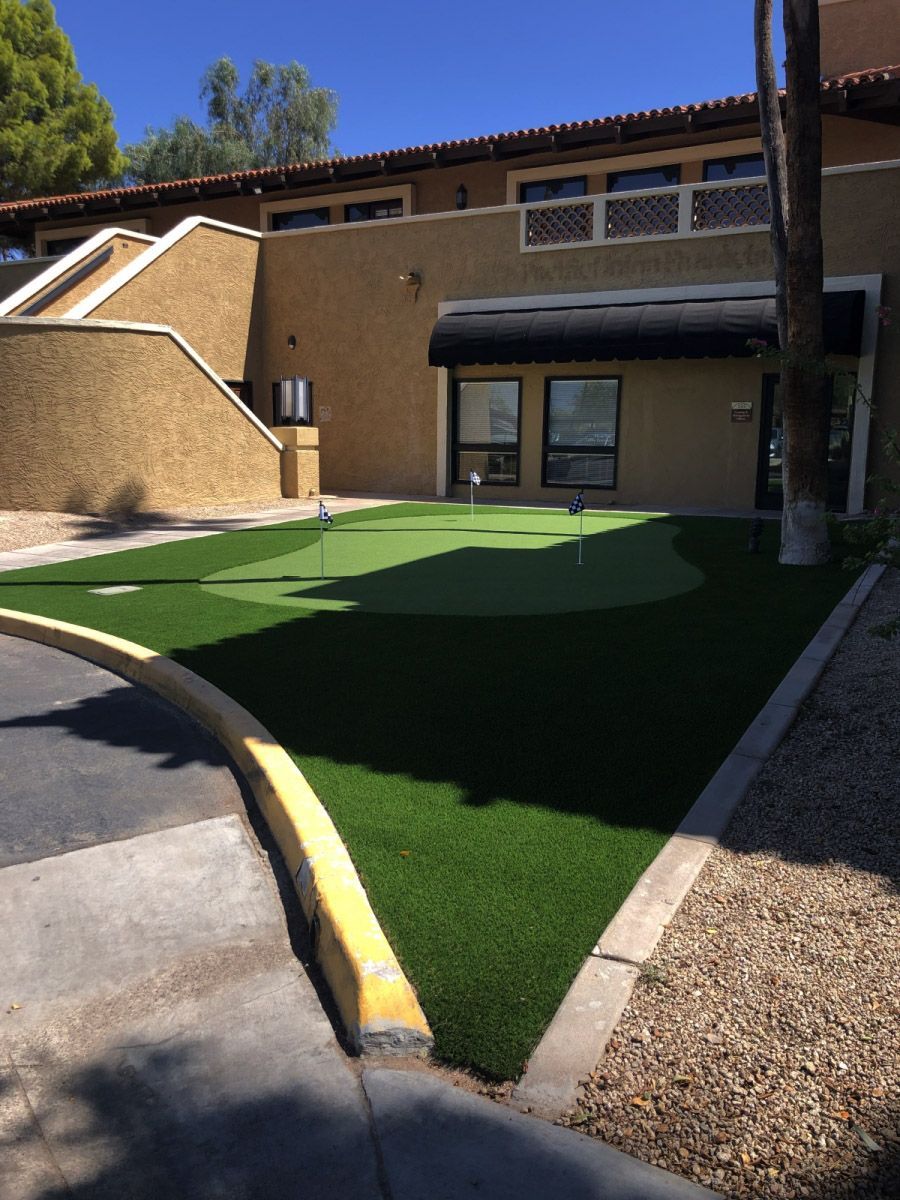 synthetic grass and desert scape