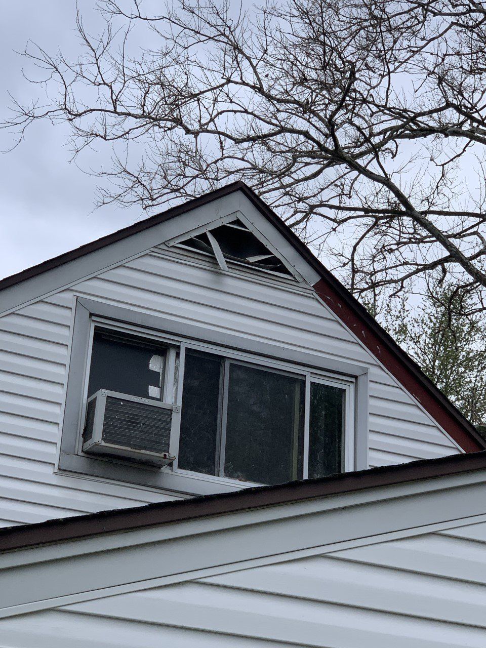 Raccoon entry point on gable end in Englewood, OH