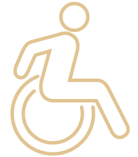 wheelchair access icon