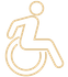 wheelchair access icon