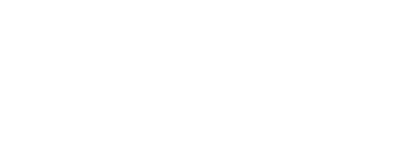 The District at Manhattan Logo