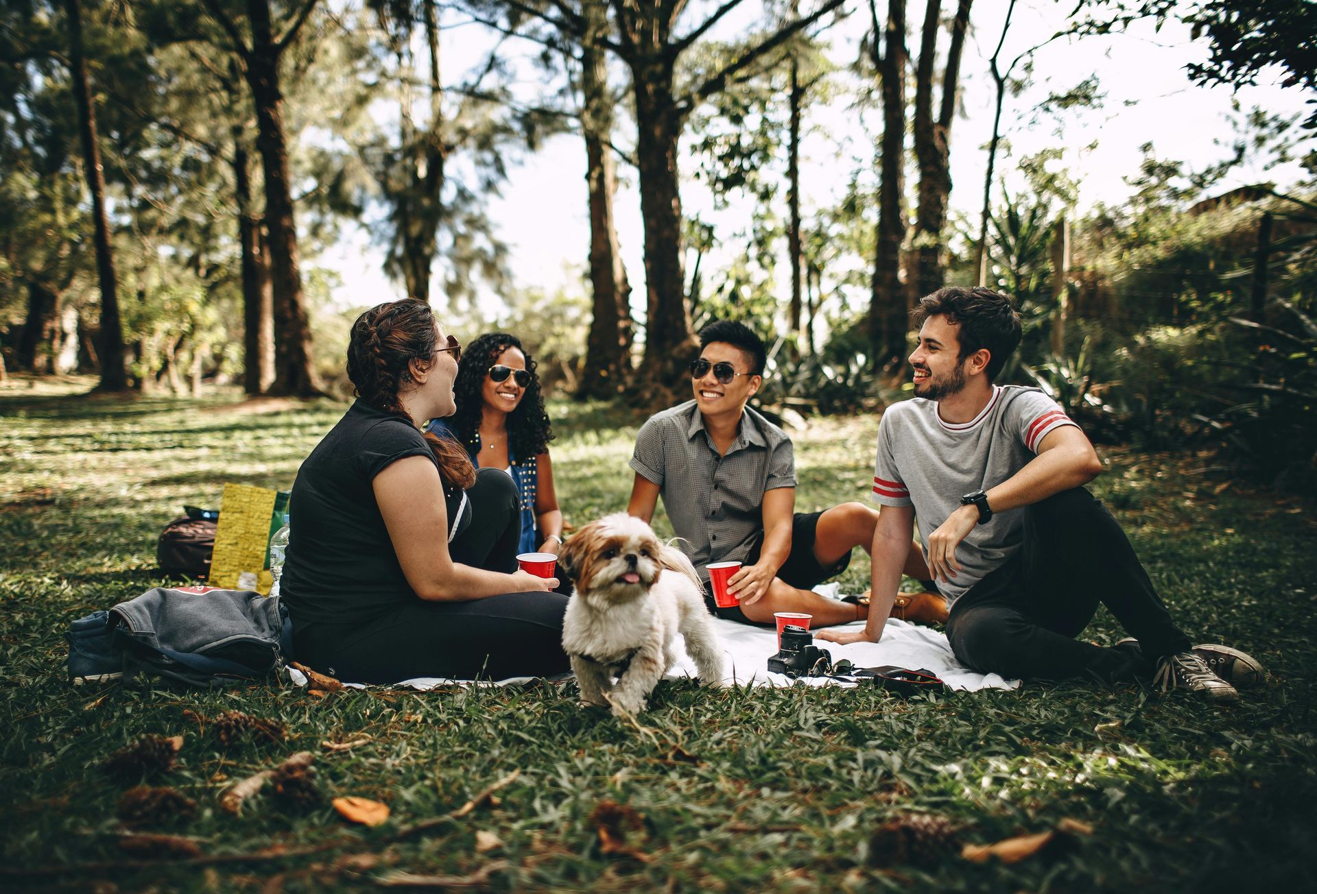 A group of four friends enjoys a picnic on a grassy area surrounded by trees, each holding red cups.