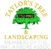 Taylor’s Tree & Landscaping, Inc. Logo