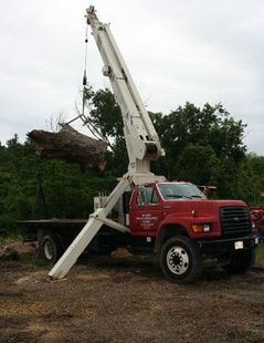 Tree Removal Service