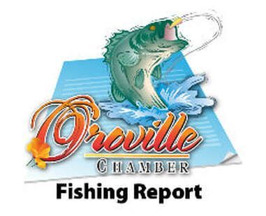 The logo for the orville chamber fishing report shows a fish jumping out of the water.