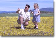 A man and a little girl are kneeling in a field of yellow flowers.