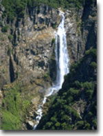 A waterfall on a rocky cliff surrounded by trees