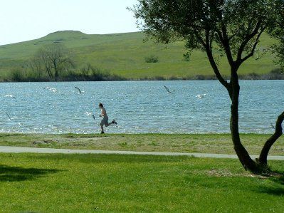 A person is running on a path next to a lake.