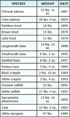 A list of fish species and their weights
