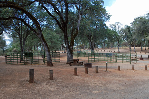 A fenced in area with trees and a picnic table