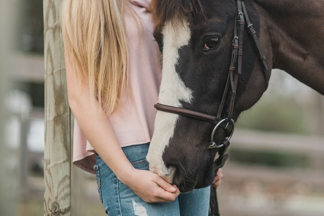 A woman is holding a black and white horse in her arms.