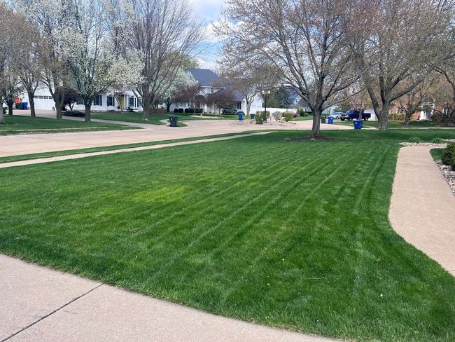 Professional lawn mowing service in the Quad Cities area, covering Moline, Davenport, Bettendorf, and Rock Island