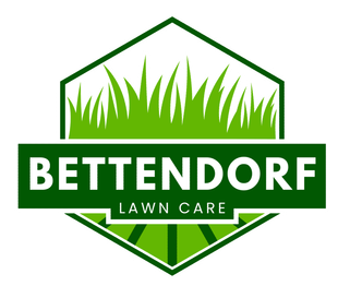 Professional lawn mowing service in the Quad Cities area, covering Moline, Davenport, Bettendorf, and Rock Island