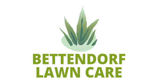 Professional lawn mowing service in the Quad Cities area, covering Moline, Davenport, Bettendorf, and Rock Island