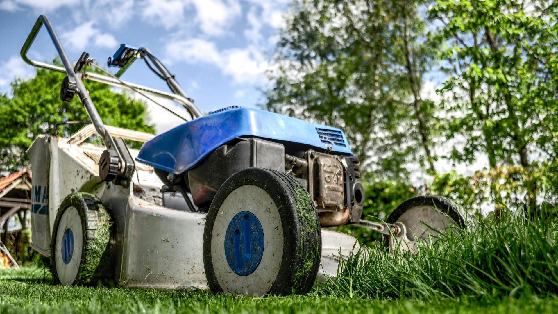 Professional lawn mowing service in the Quad Cities area, covering Moline, Davenport, Bettendorf, and Rock Island