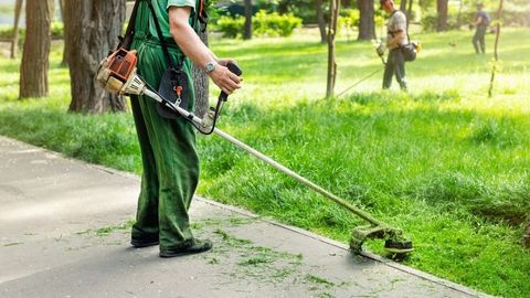 Professional lawn mowing service in the Quad Cities area, covering Moline, Davenport, Bettendorf, and Rock Island