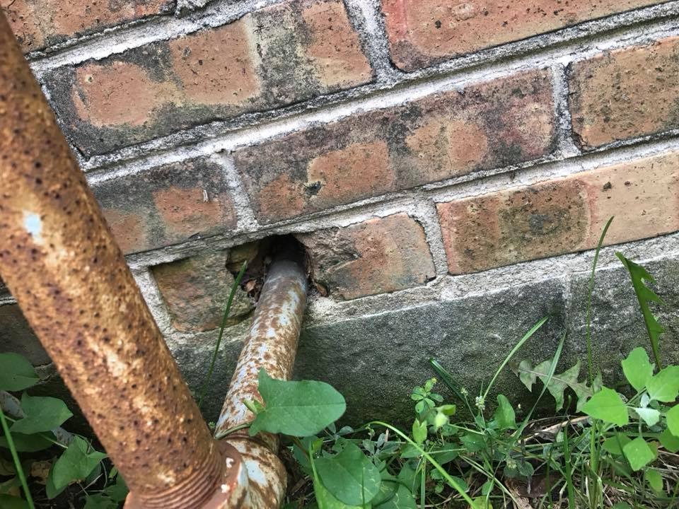 Rusty pipe exiting a brick wall, with vegetation at the base.