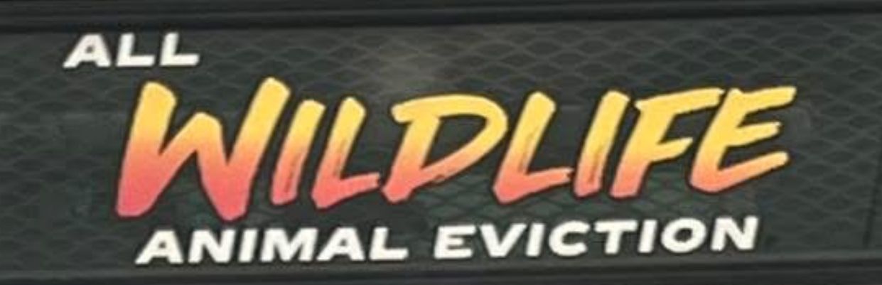 All Wild Life Animal Eviction