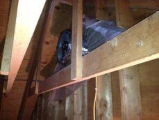 exhaust fan in the roof - Air Conditioning Repair in Brandon, Florida