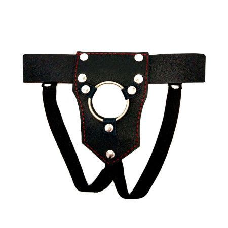 ARNES CON ANILLO DE METAL