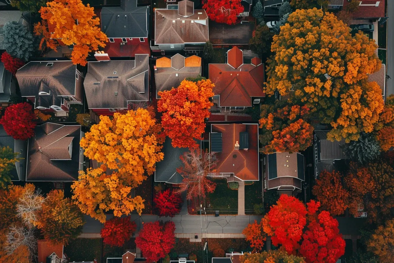 Asphalt shingle roofing in Elgin IL is ideal for sloped roofs and comes in a wide range of colors, textures, and impact-resistant variants.
