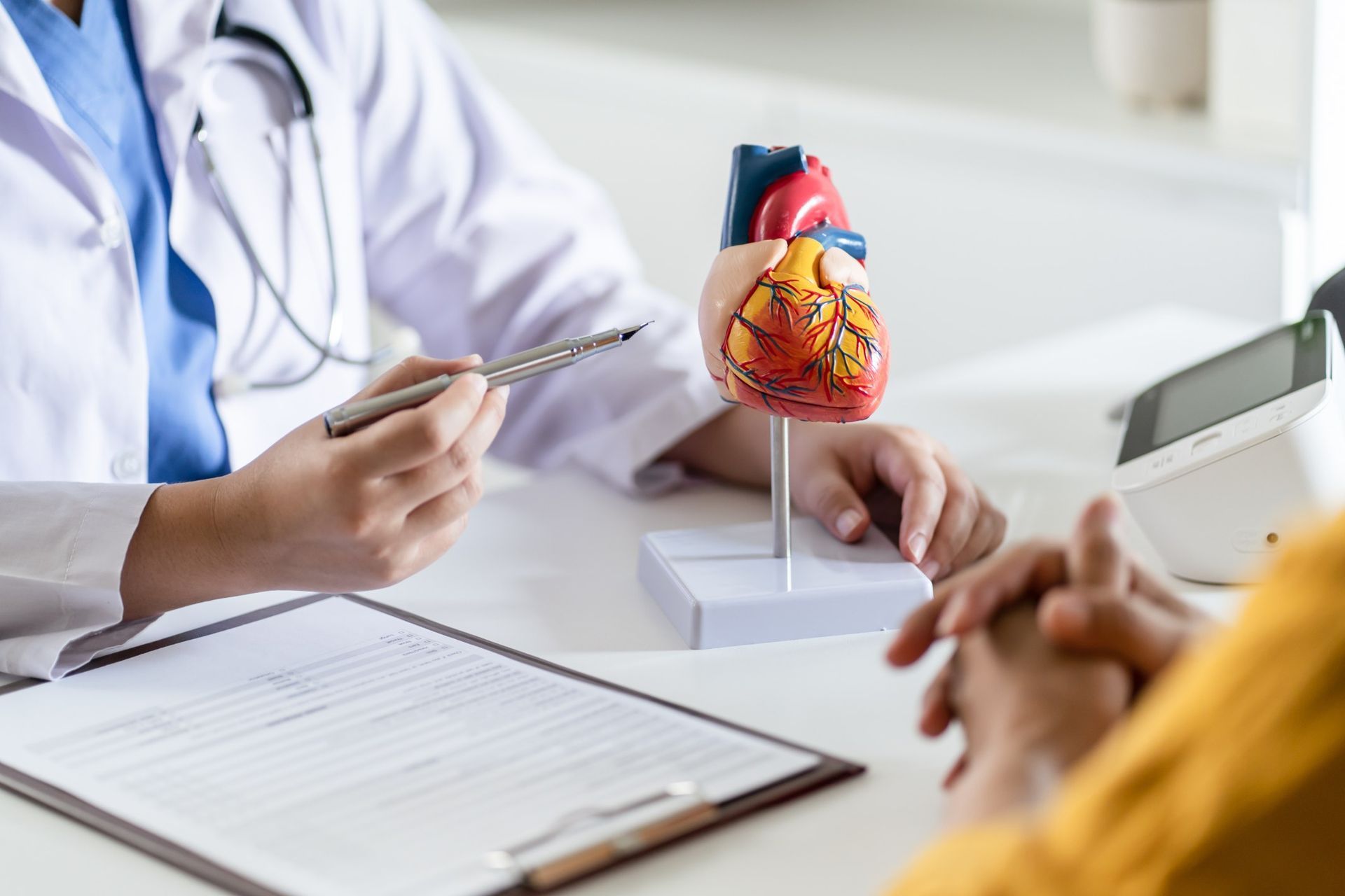 A doctor is talking to a patient while holding a model of a heart.