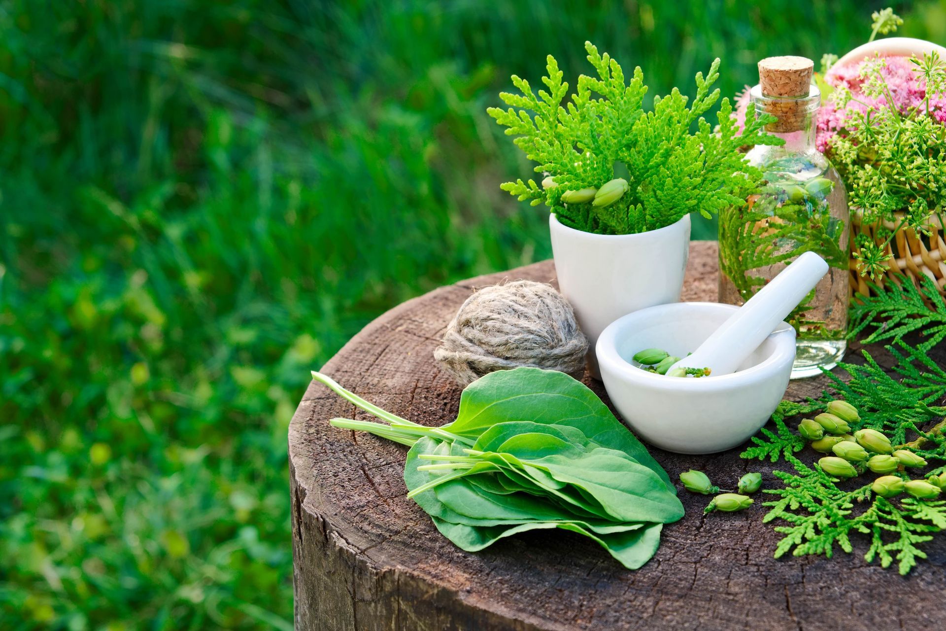 a mortar and pestle surrounded by herbs and a bottle