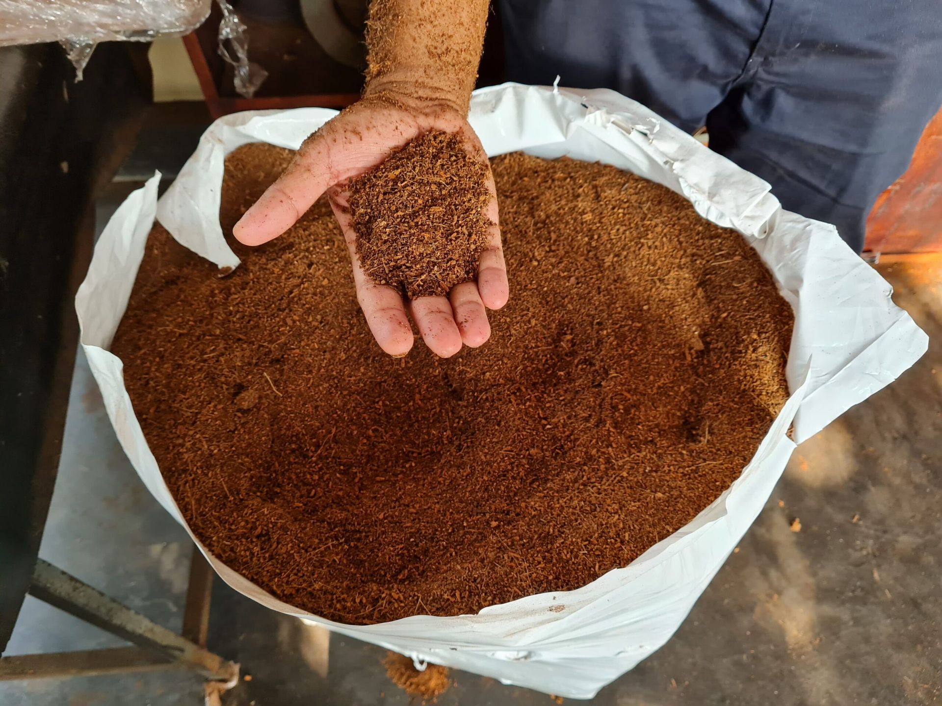 Coir Fibre