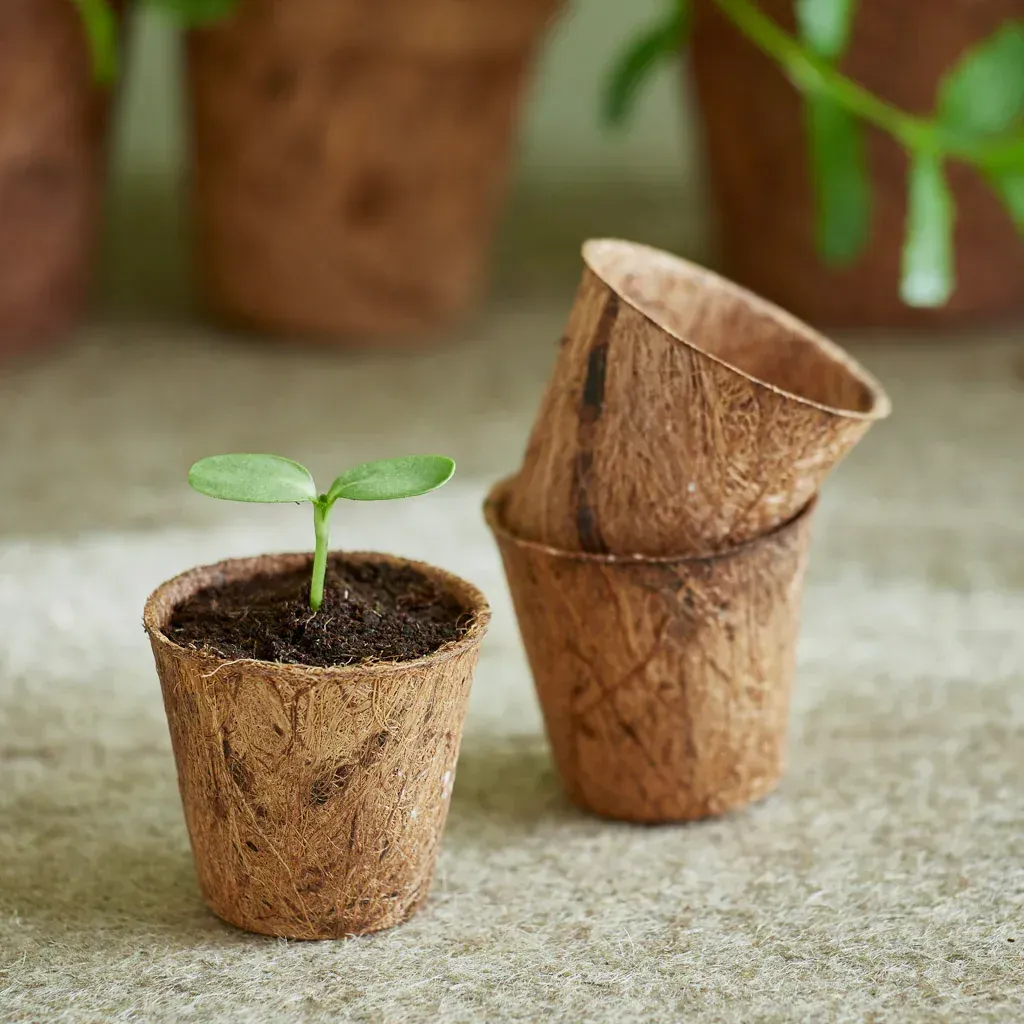 Fibre Coir