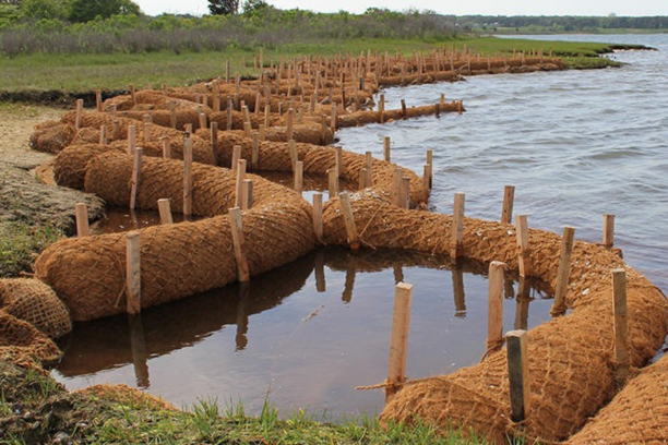 Fibre Coir