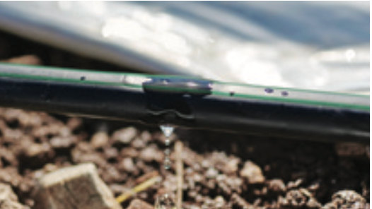 irrigation  gsi