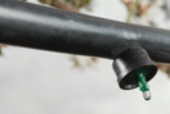 irrigation fertigation