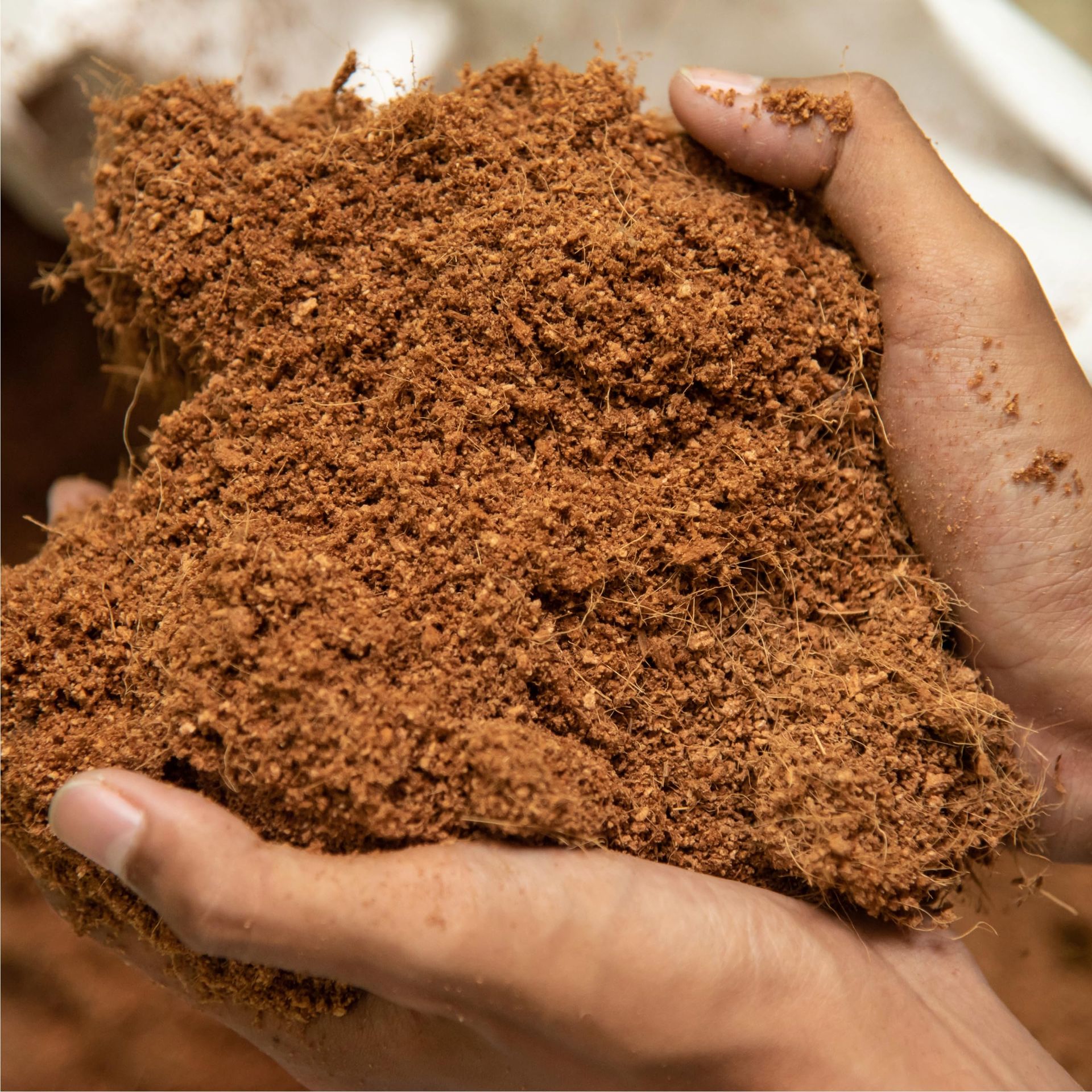 Coir Fibre