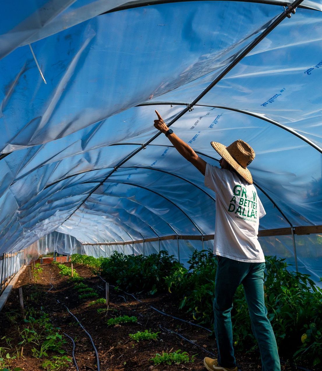 irrigation