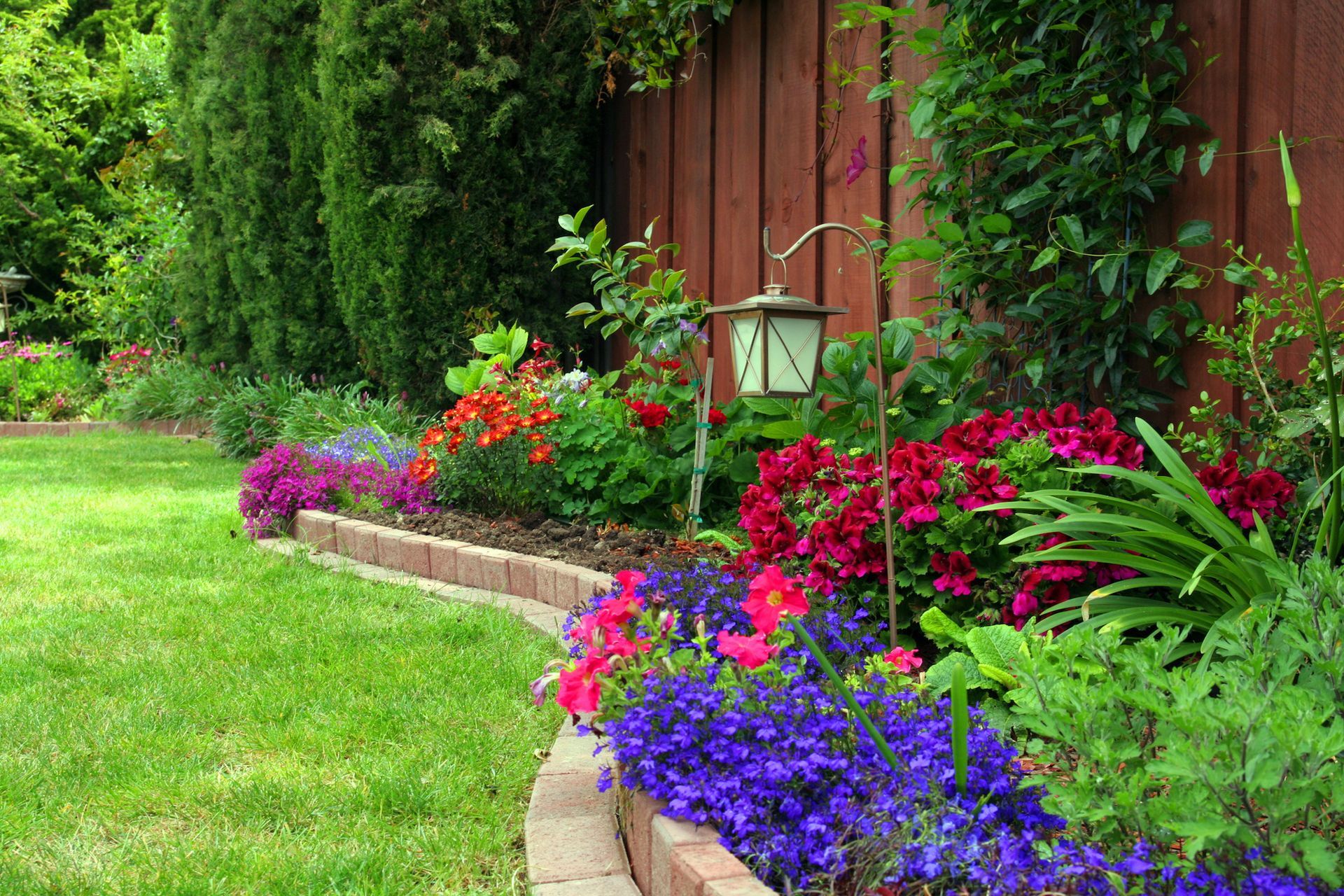Lush garden bed with vibrant blooms in red, pink, purple, and green, framed by brick edging and a wooden fence.