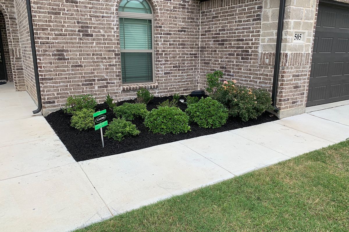 Landscaped flower bed with green plants and black mulch next to a house with brick siding and a concrete sidewalk.