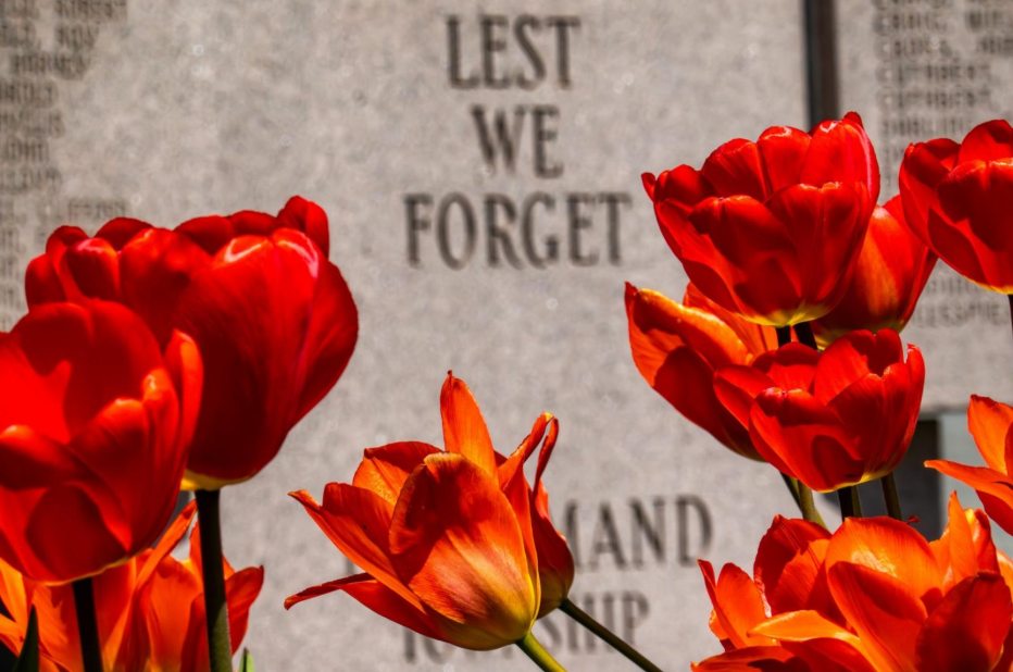 Group of red flowers placed in front of a memorial as a tribute of love, honor, and remembrance. 