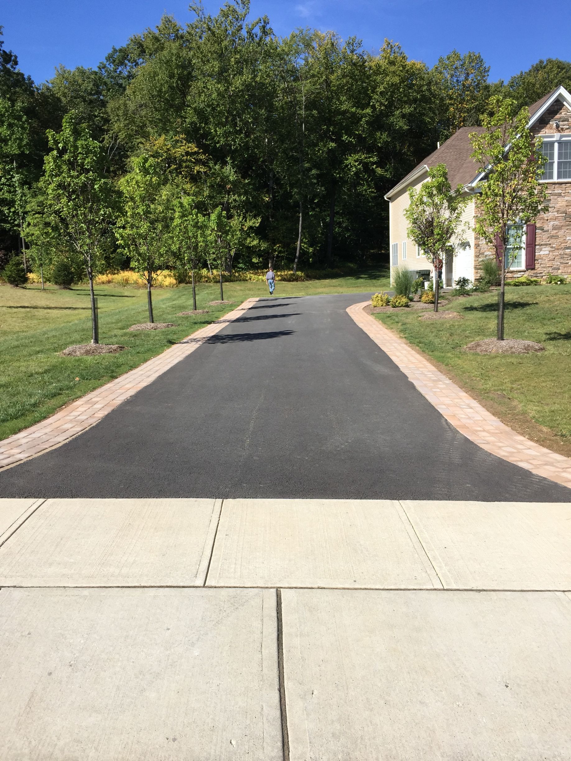 A driveway leading to a house with trees on both sides.
