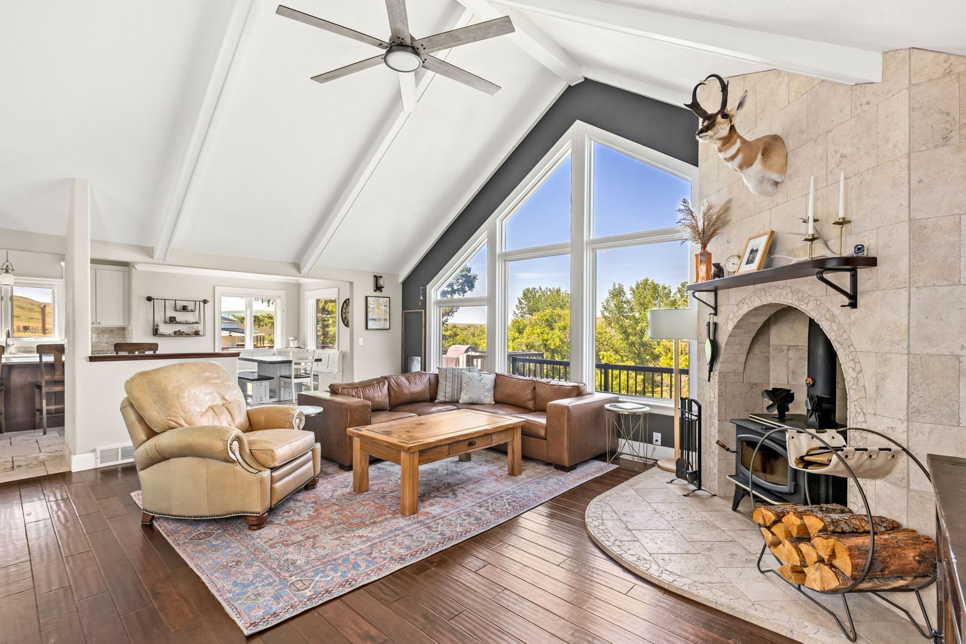 Luxury Living Shot