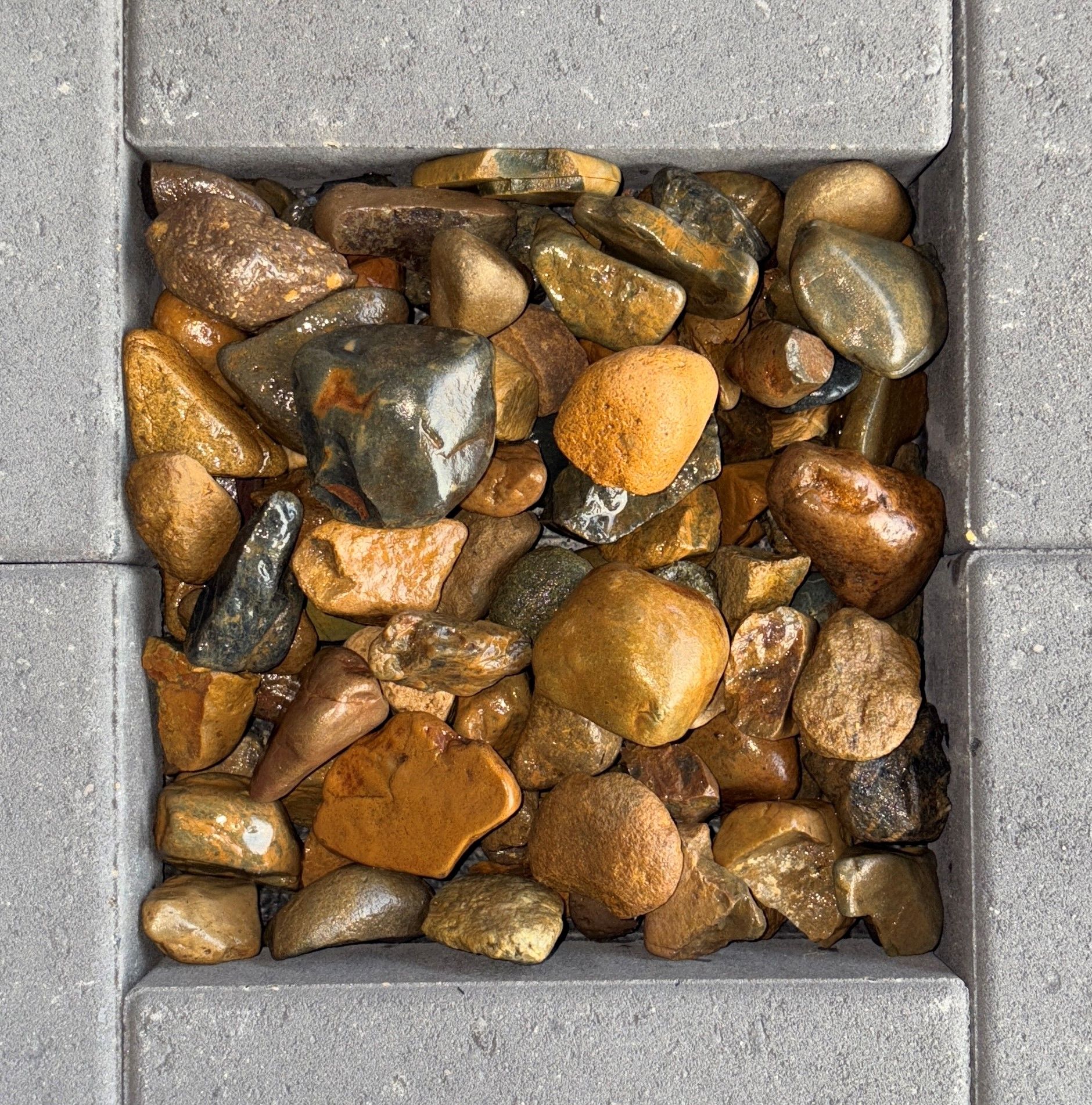 Brisbane River Pebble — Brisbane, QLD — Apollo Landscaping Supplies