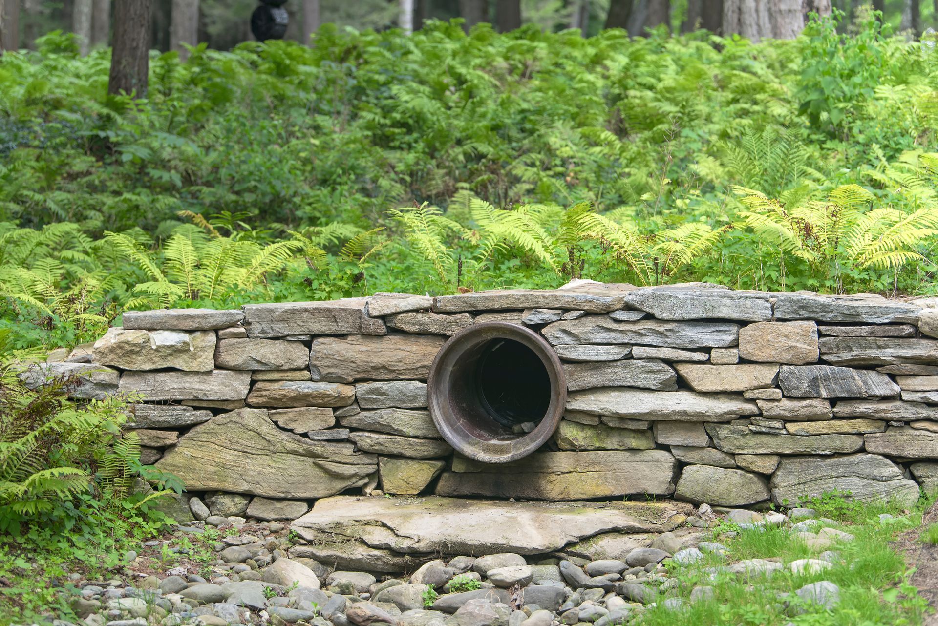 A drainage pipe embedded in a dry-laid stone wall, surrounded by lush green ferns and a rocky foreground.