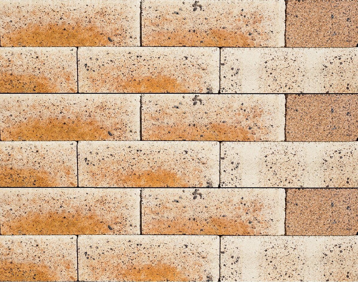 Brick Dry Press Cream Flash — Brisbane, QLD — Apollo Landscaping Supplies