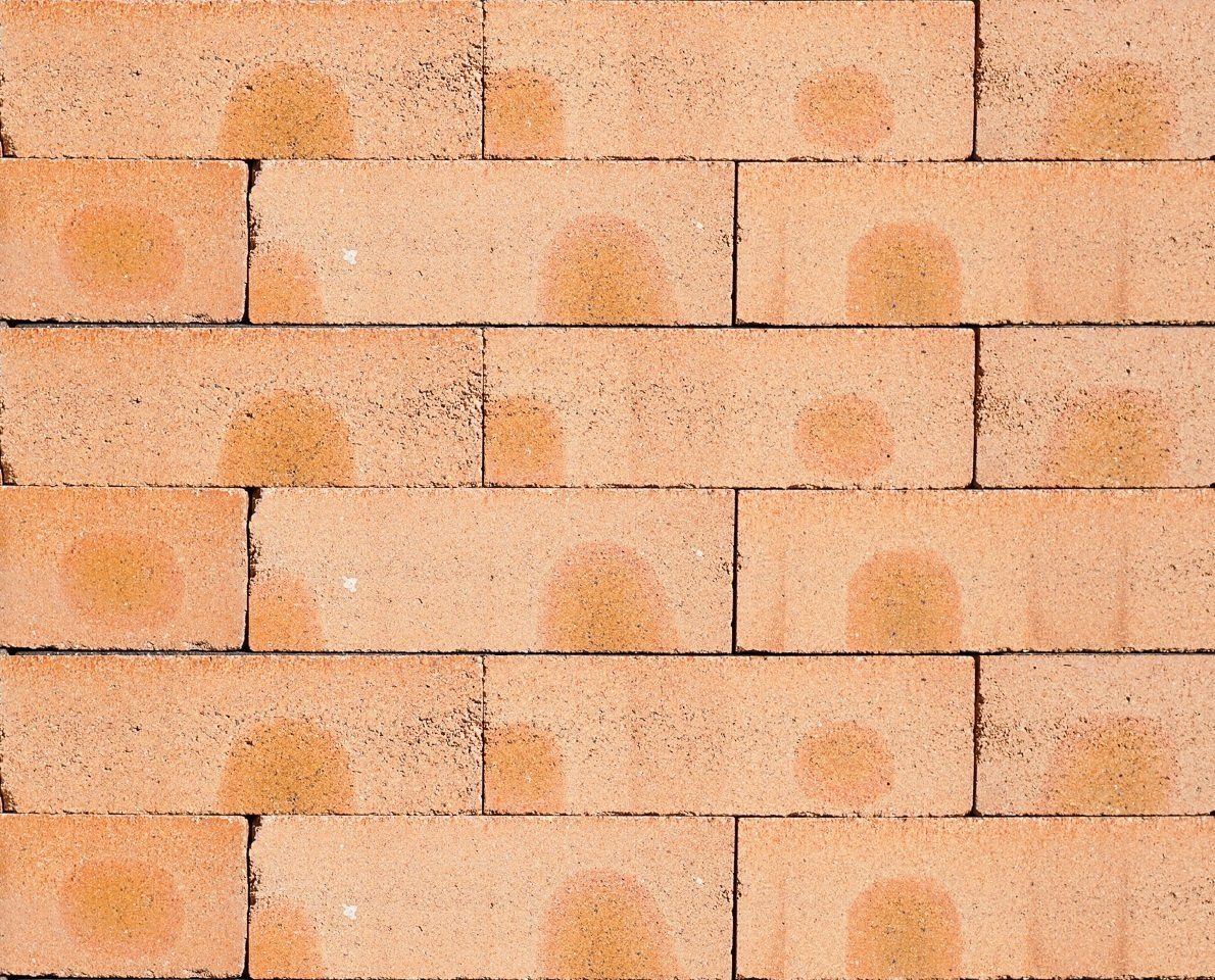 Brick Dry Press Red Flash — Brisbane, QLD — Apollo Landscaping Supplies