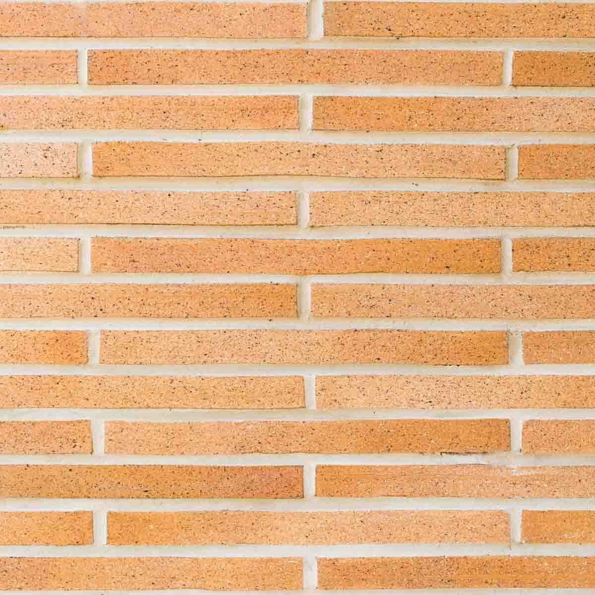 Brick Epic Gold — Brisbane, QLD — Apollo Landscaping Supplies