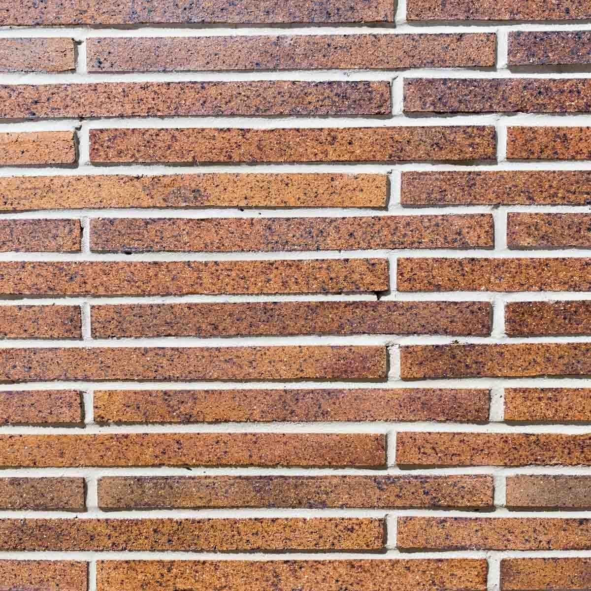 Brick Epic Tan — Brisbane, QLD — Apollo Landscaping Supplies